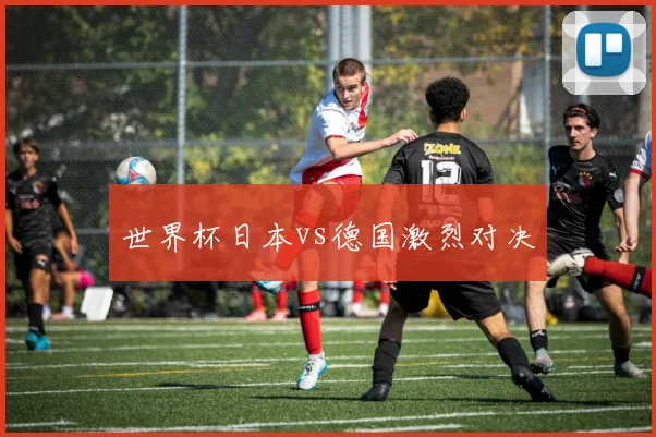 世界杯日本vs德国激烈对决