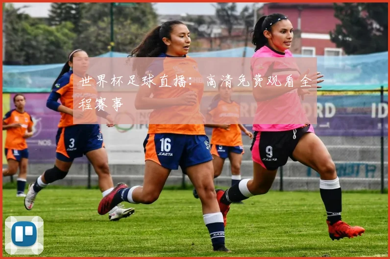 世界杯足球直播:高清免费观看全程赛事