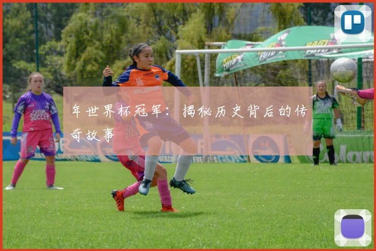 年世界杯冠军:揭秘历史背后的传奇故事