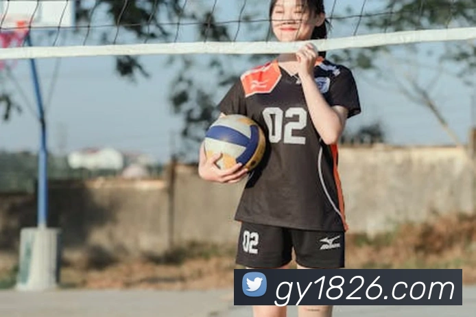 App Interface Preview