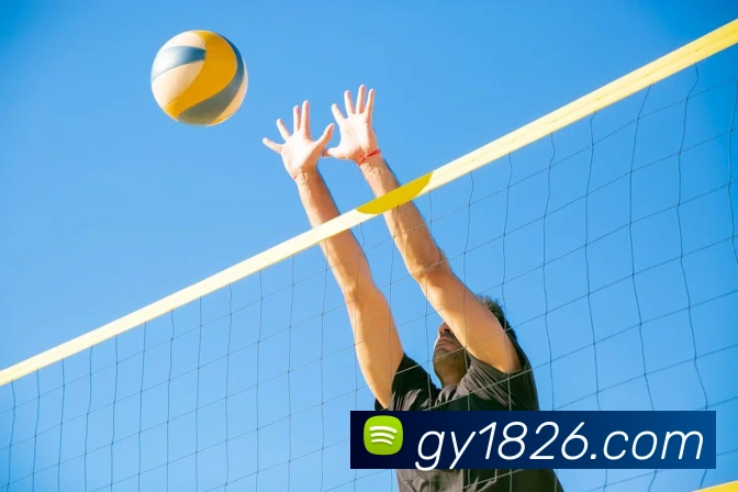 半岛网页版登录入口APP 封面图